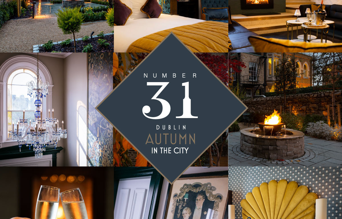 Luxurious Dublin retreat with cosy fireplace, elegant rooms, garden views, and champagne toasts for a memorable stay.