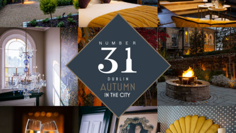 Luxurious Dublin retreat with cosy fireplace, elegant rooms, garden views, and champagne toasts for a memorable stay.